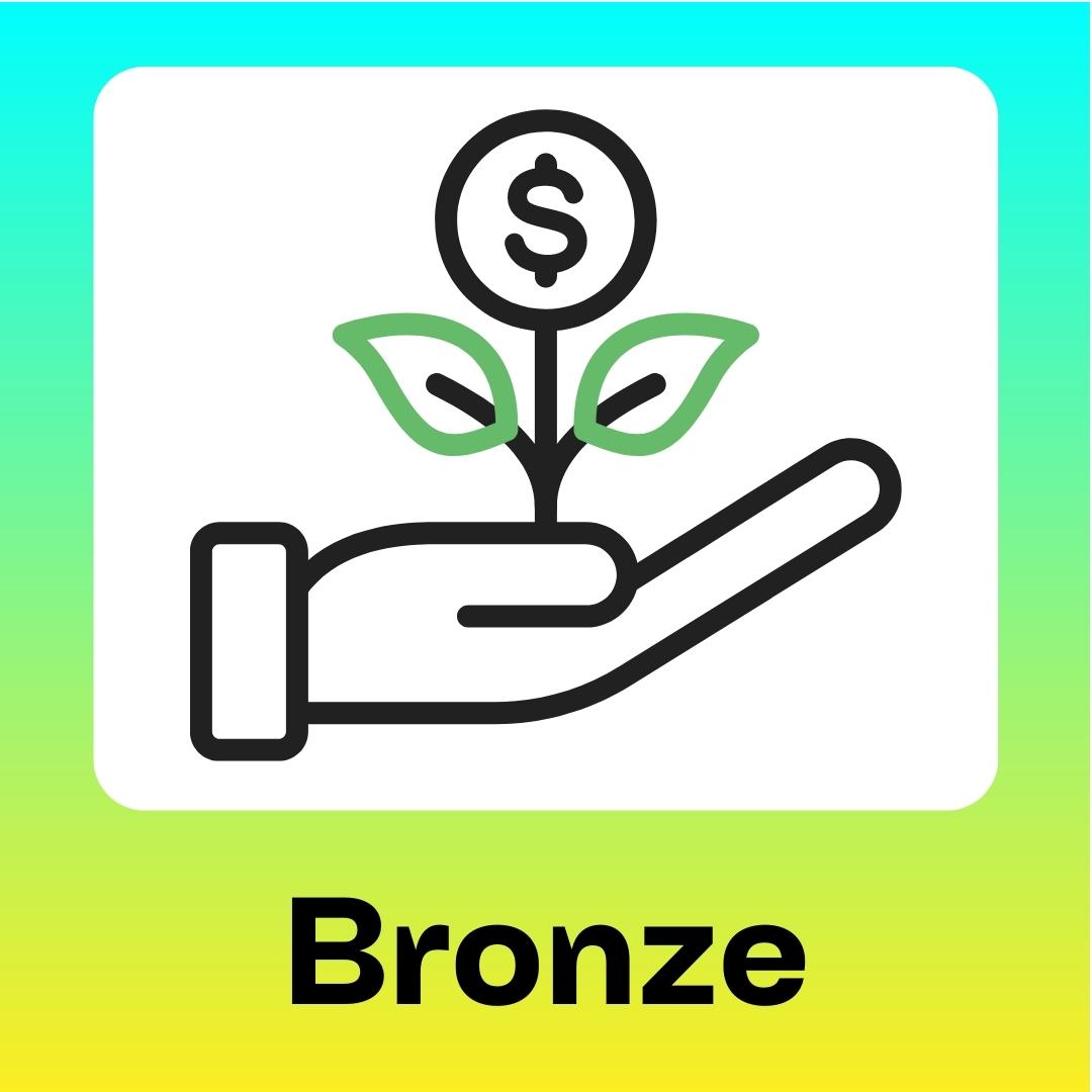 Bronze Sponsor | $1k - $4,999