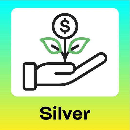 Silver Sponsor | $5k & $10,999